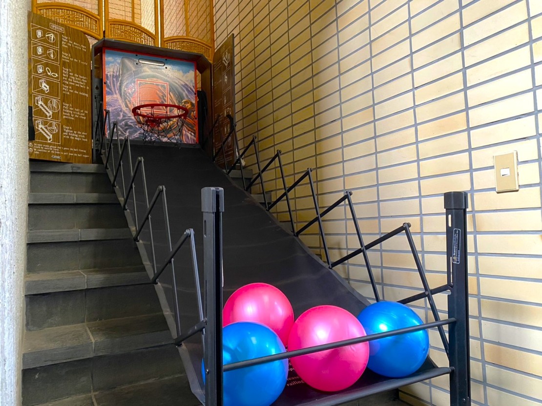 大型貸別荘　サンライズガーデン｜静岡県・東伊豆｜バスケゲーム