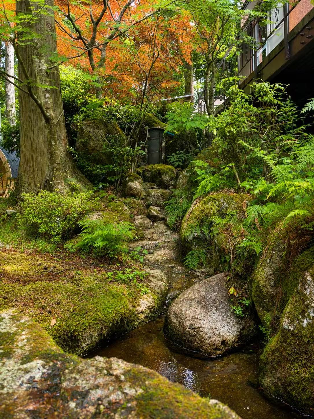 COLOR INN 琉璃渓｜京都府・湯の花・丹波・美山｜詳細10