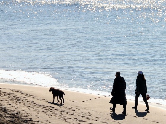 千葉県 館山・南房総の貸別荘・コテージ｜Private Villa AZUL：海