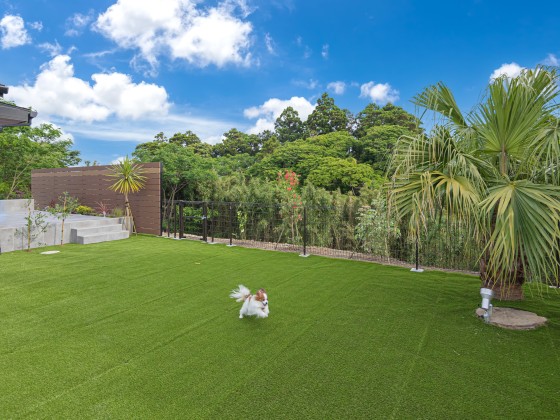 千葉県 館山・南房総の貸別荘・コテージ｜Private Villa AZUL：ドッグラン