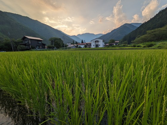 群馬県 水上・月夜野・猿ヶ京・法師の貸別荘・コテージ｜Tanigawa Valley Lodge & Coffee Roastery：里山