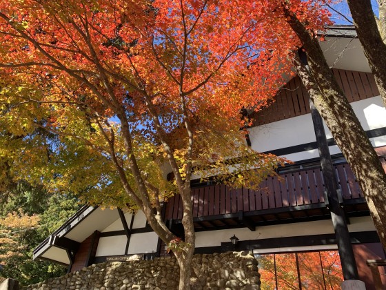群馬県 水上・月夜野・猿ヶ京・法師の貸別荘・コテージ｜Tanigawa Valley Lodge & Coffee Roasteryの写真：コテージ