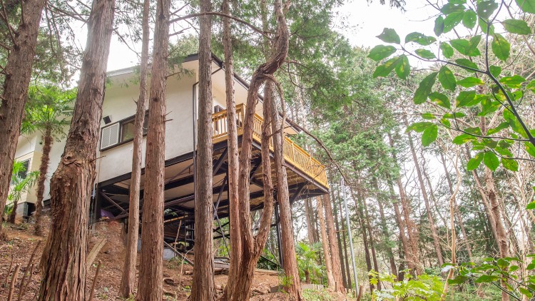 静岡県 熱海の貸別荘・コテージ｜森のコテージViViの特徴写真｜山の上の森の中