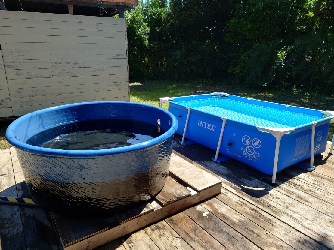 白浜プライベート古民家SHIOKAZE｜千葉県・館山・南房総｜水風呂のほか夏季にはお子様向けのプールも！