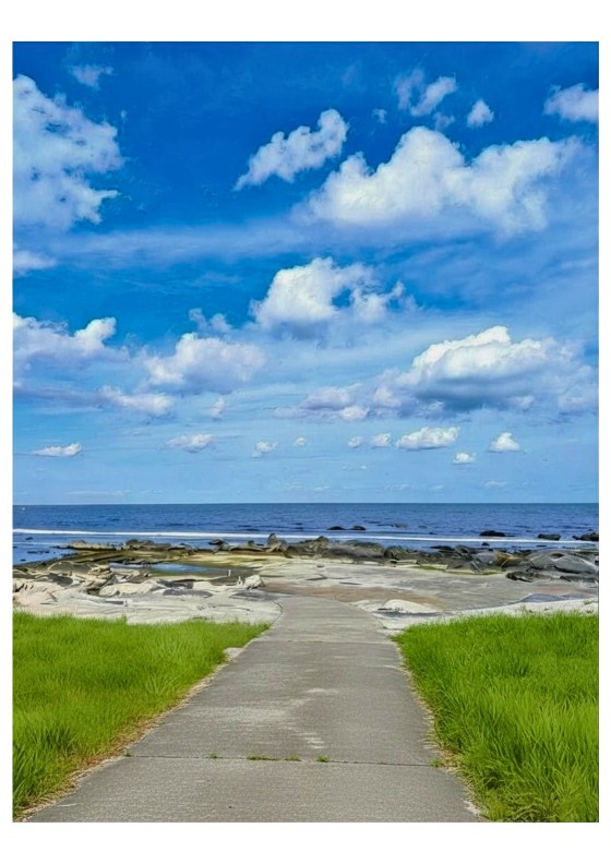 千葉県 館山・南房総の貸別荘・コテージ｜海友館〜白間津〜：海