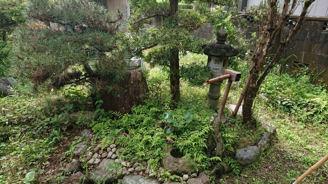 千葉県 勝浦・鴨川のコテージ｜久遠荘の写真：寝室からお庭を望む風景です。